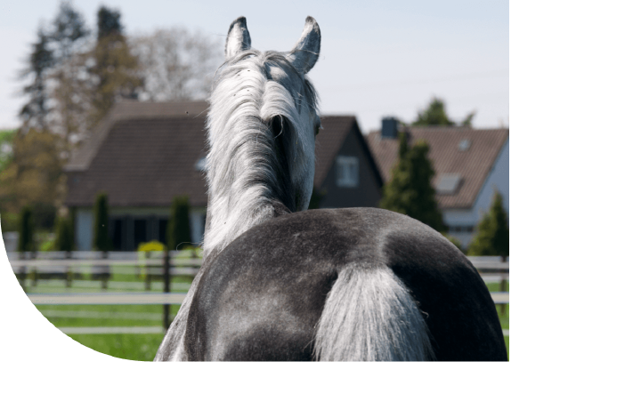teaser newsletter hoeveler abmeldung teaser newsletter hoeveler abmeldung